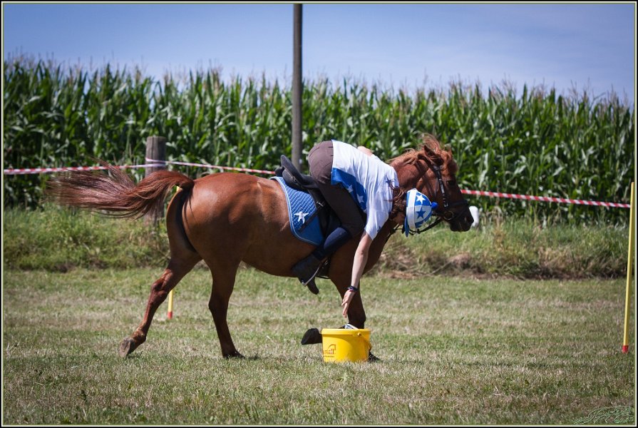 Mounted Games 212